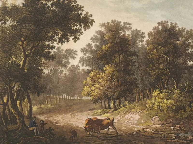1774-Franz Hegi - Schinznach, area forestale - Collezione Gugelmann